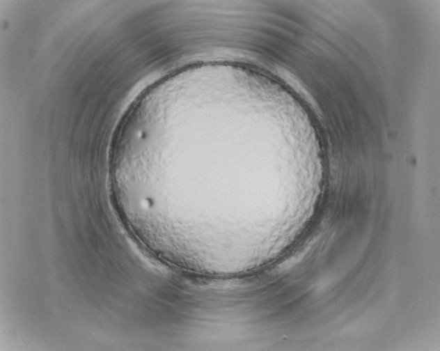 X0000074960845200609291911