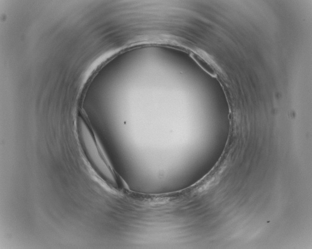 X0000074960846200609291911