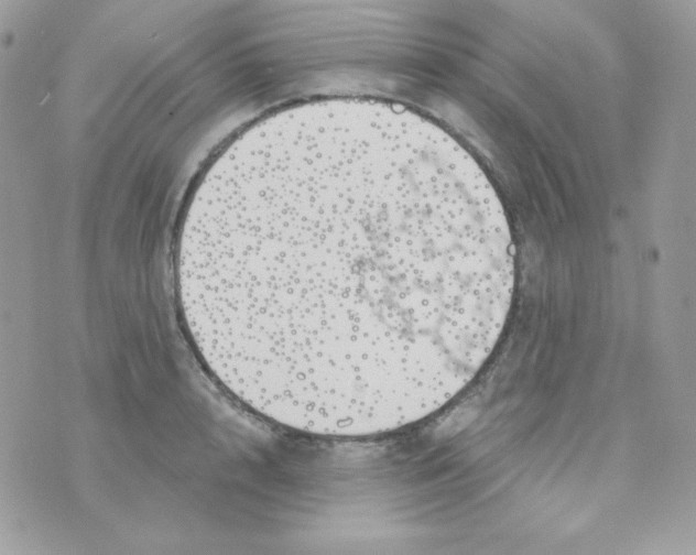 X0000074960848200609291911