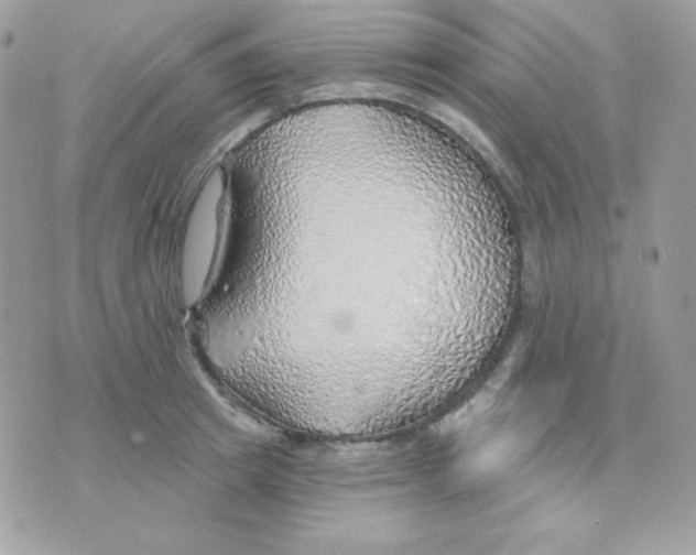 X0000074960849200609291911