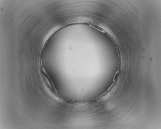 X0000074960850200609291911