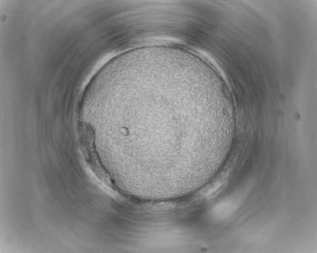 X0000074960851200609291911