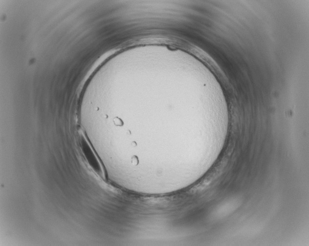 X0000074960852200609291911