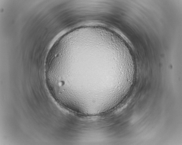 X0000074960853200609291911