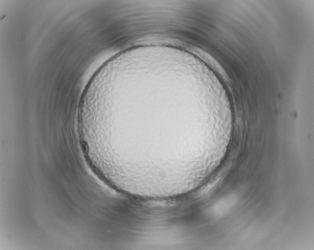 X0000074960855200609291911