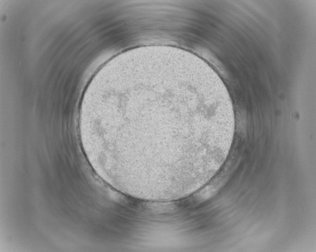 X0000074960856200609291911