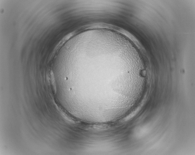 X0000074960857200609291911