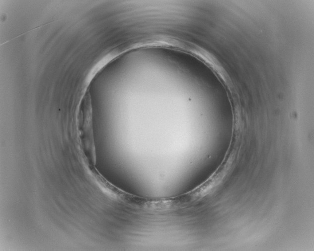 X0000074960858200609291911