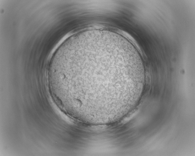 X0000074960859200609291911