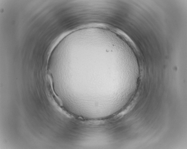 X0000074960860200609291911