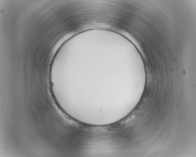 X0000074960861200609291911