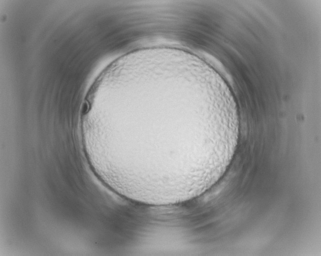 X0000074960863200609291911