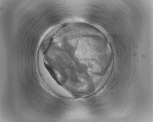 X0000074960864200609291911