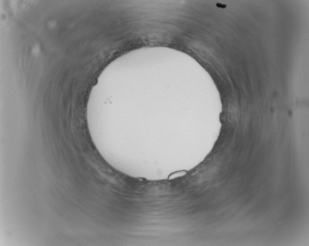 X0000074960865200609291910