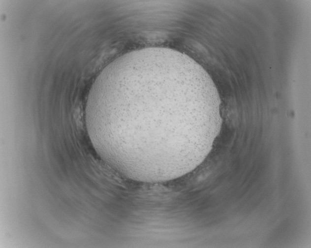 X0000074960866200609291910