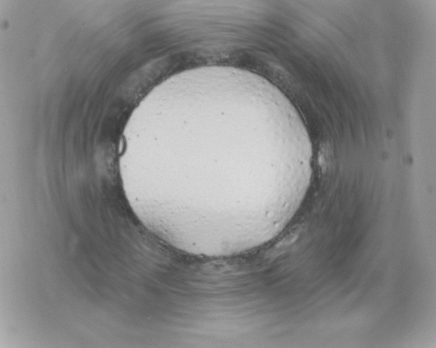 X0000074960867200609291910