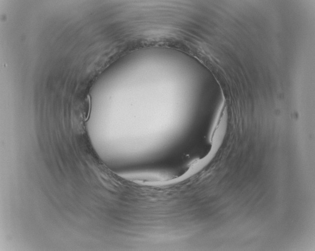 X0000074960868200609291910