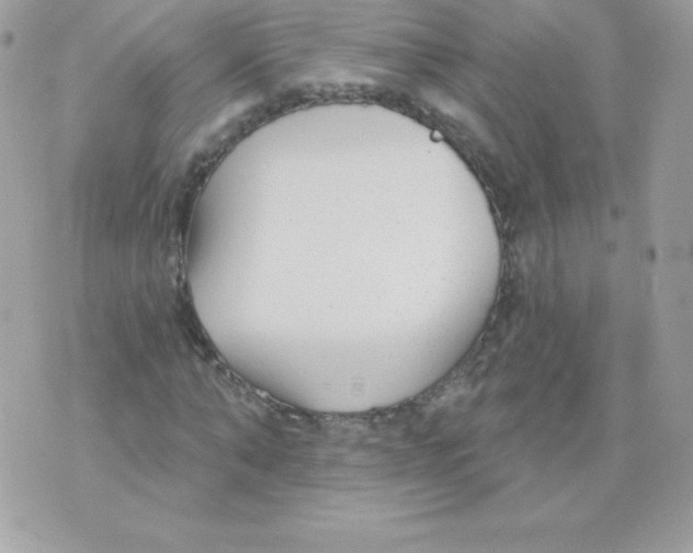 X0000074960870200609291910