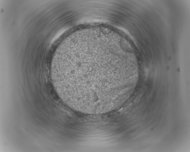 X0000074960871200609291910