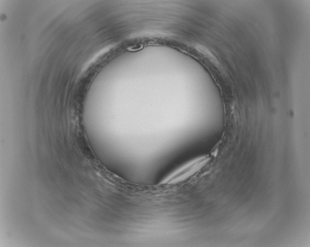 X0000074960872200609291910