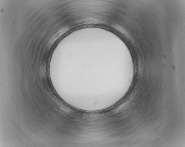 X0000074960873200609291910