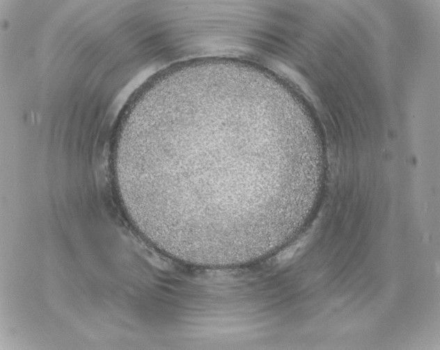 X0000074960875200609291910