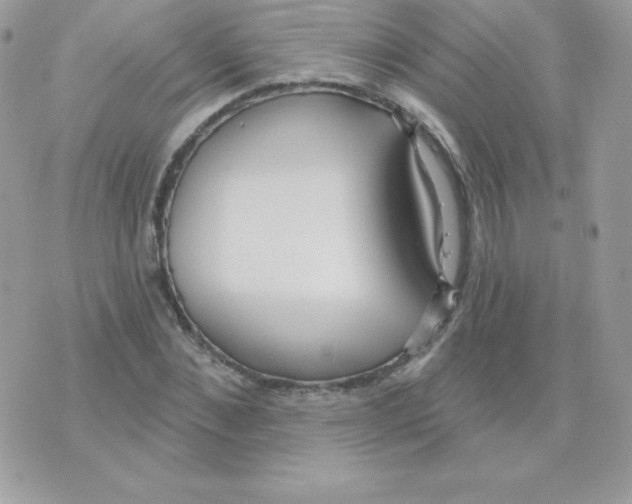 X0000074960876200609291910