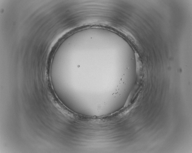 X0000074960880200609291910