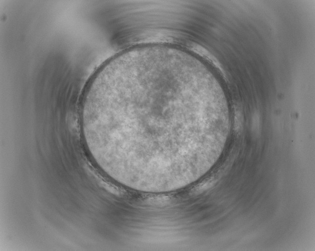 X0000074960882200609291910