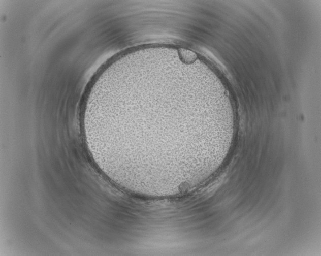 X0000074960883200609291910