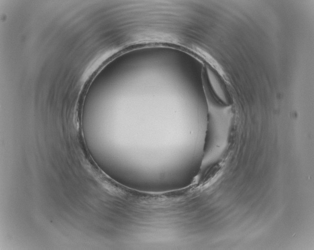 X0000074960885200609291910