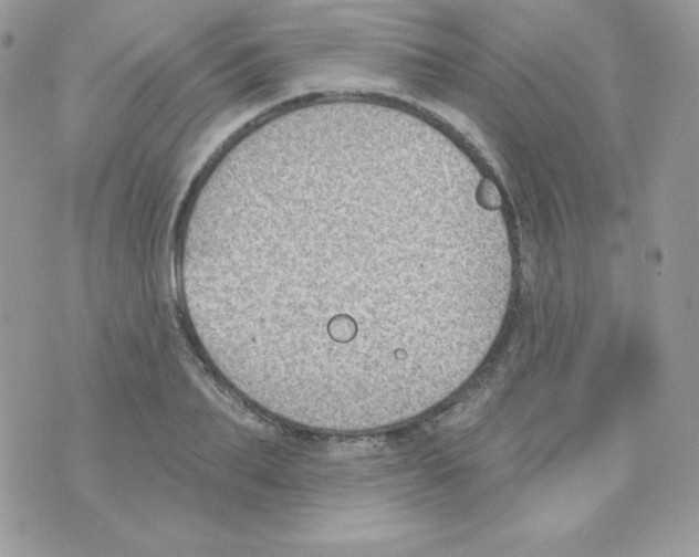 X0000074960887200609291910