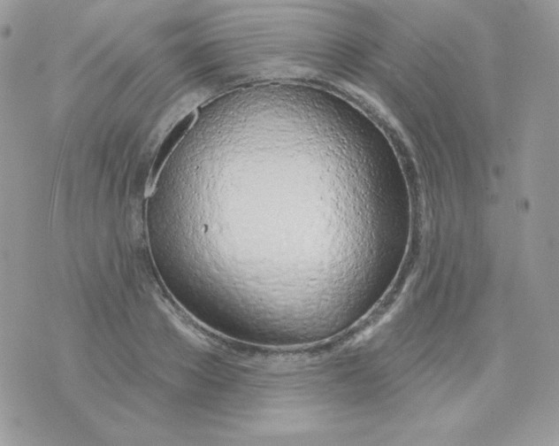 X0000074960889200609291910