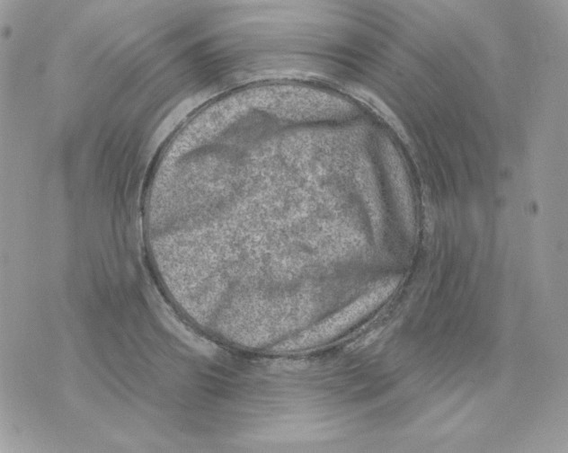 X0000074960890200609291910