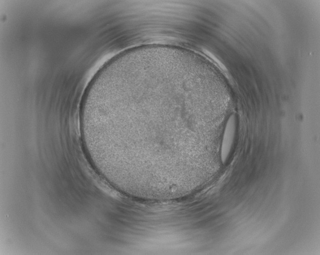 X0000074960891200609291910