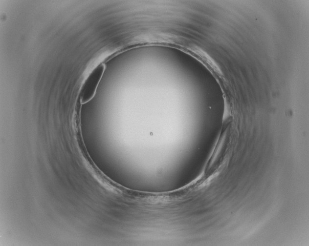 X0000074960893200609291910