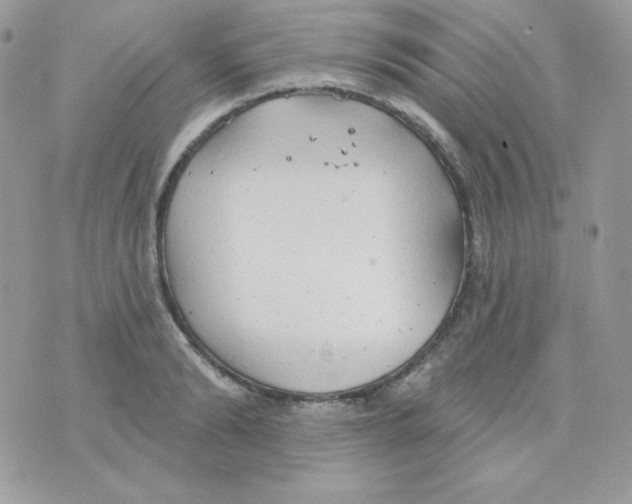 X0000074960894200609291910