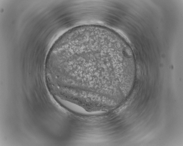 X0000074960895200609291910