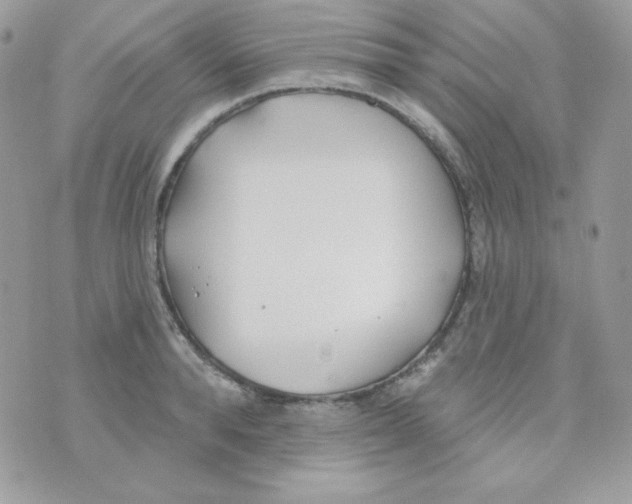 X0000074960896200609291910