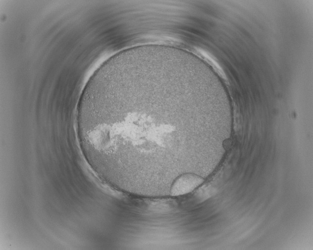 X0000074960899200609291910