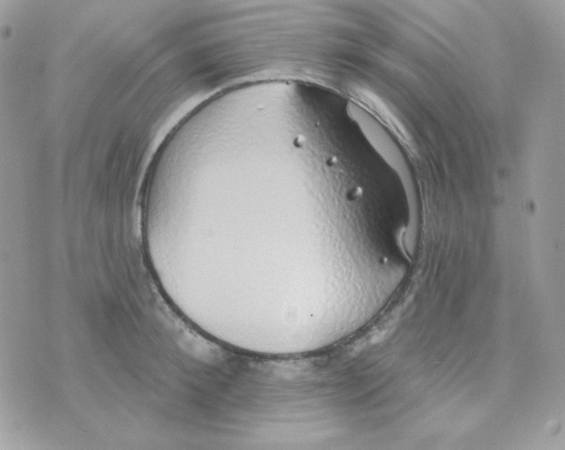 X0000074960900200609291910