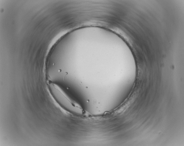 X0000074960902200609291909