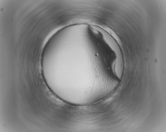 X0000074960904200609291909