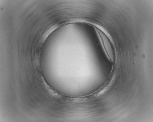 X0000074960905200609291909