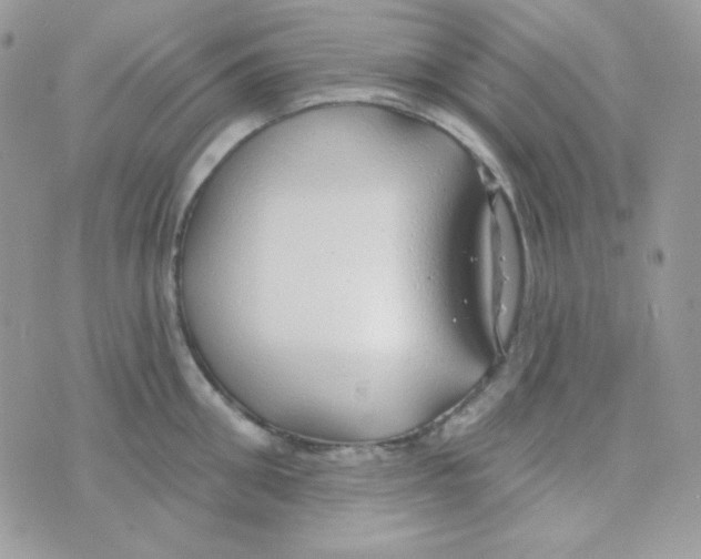 X0000074960906200609291909