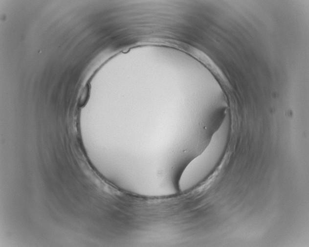 X0000074960908200609291909