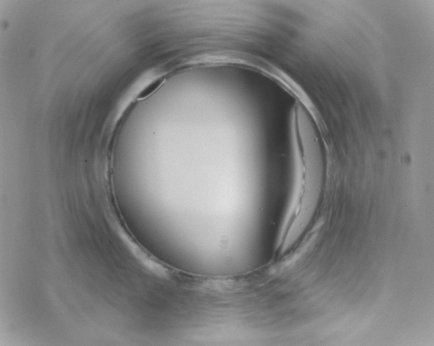 X0000074960909200609291909