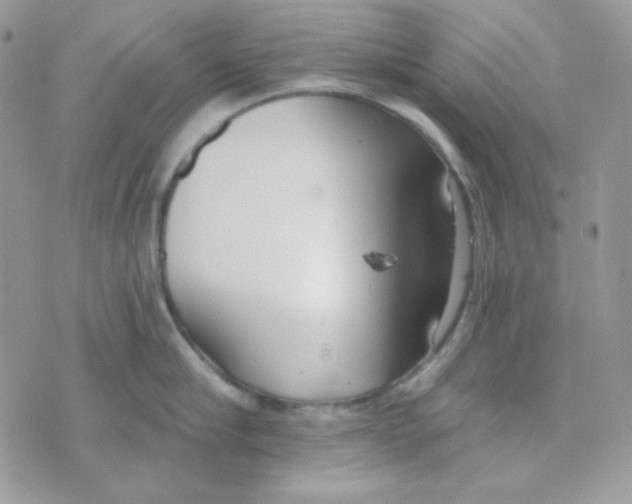 X0000074960910200609291909