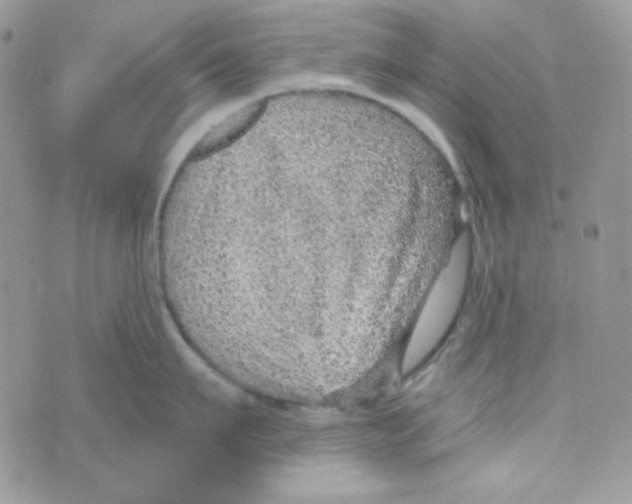 X0000074960911200609291909