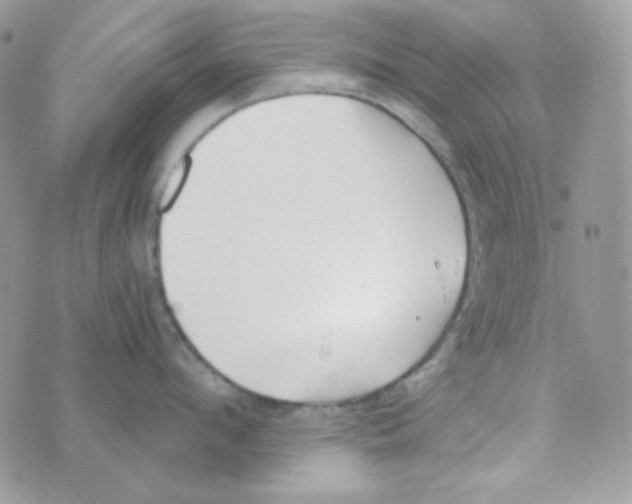 X0000074960912200609291909